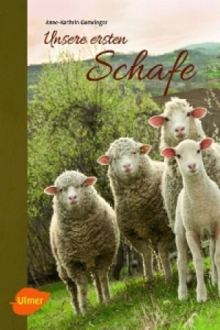 Unsere ersten Schafe