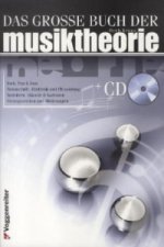 Das grosse Buch der Musiktheorie, m. Audio-CD