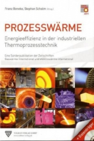 Prozesswärme, m. DVD-ROM