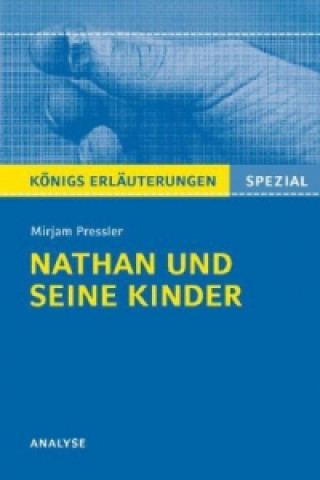 Mirjam Pressler: Nathan und seine Kinder