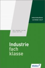 Industriefachklasse
