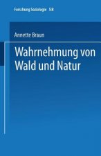 Wahrnehmung Von Wald Und Natur