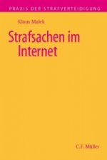 Strafsachen im Internet