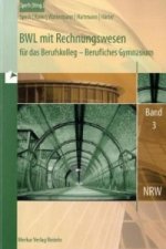 Betriebswirtschaftslehre mit Rechnungswesen und Controlling. Bd.3