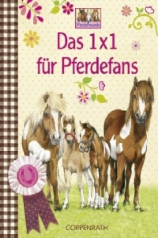 Das 1 x 1 für Pferdefans