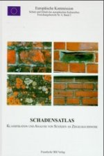 Schadensatlas - Klassifikation und Analyse von Schäden an Ziegelmauerwerk