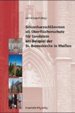Siliconharzschlämmen als Oberflächenschutz für Sandstein am Beispiel der St. Bennokirche in Meißen