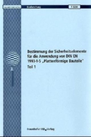 Bestimmung der Sicherheitselemente für die Anwendung von DIN EN 1993-1-5 