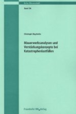 Mauerwerksanalysen und Verstärkungskonzepte bei Katastrophenlastfällen. Bericht 03/02.