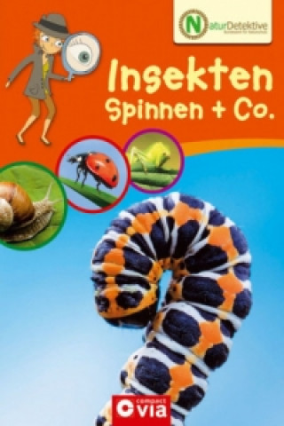 Insekten, Spinnen & Co.