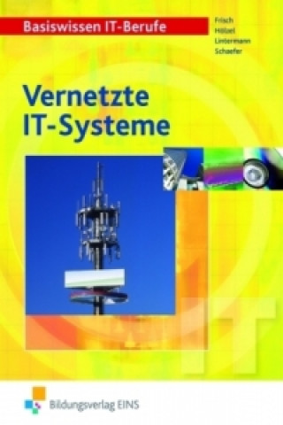 Vernetzte IT-Systeme, Schülerband