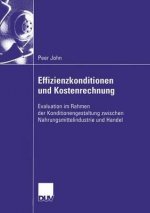 Effizienzkonditionen Und Kostenrechnung