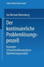 Der Kontinuierliche Problemloesungsprozess