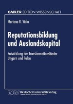 Reputationsbildung Und Auslandskapital