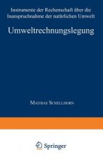 Umweltrechnungslegung