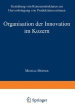 Organisation Der Innovation Im Konzern