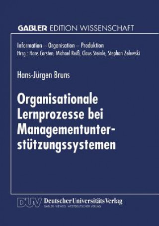 Organisationale Lernprozesse Bei Managementunterstutzungssystemen