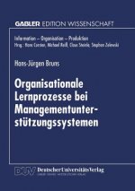 Organisationale Lernprozesse Bei Managementunterstutzungssystemen