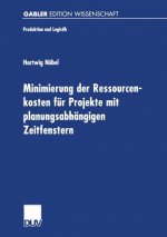 Minimierung Der Ressourcenkosten Fur Projekte Mit Planungsabhangigen Zeitfenstern