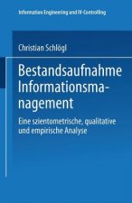 Bestandsaufnahme Informationsmanagement