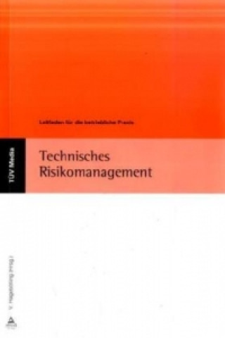 Technisches Risikomanagement, m. CD-ROM