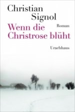 Wenn die Christrose blüht