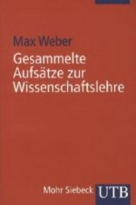 Gesammelte Aufsätze zur Wissenschaftslehre