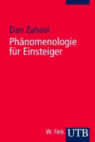 Phänomenologie für Einsteiger