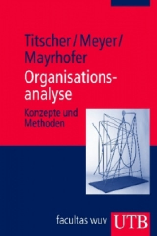 Organisationsanalyse