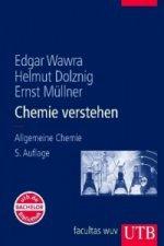 Chemie verstehen