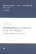 Determinants and Consequences of the Use of Budgets