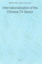 Internationalization of the Chinese TV Sector