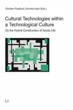Cultural Technologies within a Technological Culture