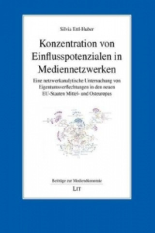 Konzentration von Einflusspotenzialen in Mediennetzwerken