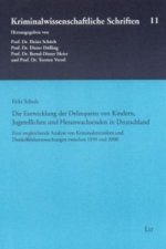 Die Entwicklung der Delinquenz von Kindern, Jugendlichen und Heranwachsenden in Deutschland