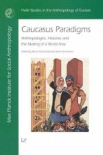 Caucasus Paradigms