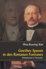 Goethes Spuren in den Romanen Fontanes