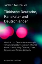 Türkische Deutsche, Kanakster und Deutschländer