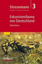 Wirbeltiere