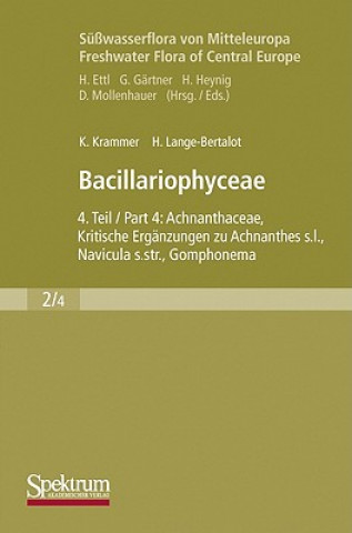 Bacillariophyceae. Tl.4