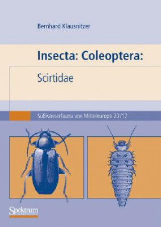 Insecta: Coleoptera: Scirtidae