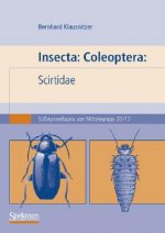 Insecta: Coleoptera: Scirtidae