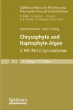 Chrysophyte and Haptophyte Algae