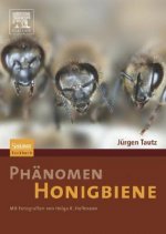 Phanomen Honigbiene