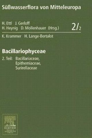 Bacillariophyceae. Tl.2