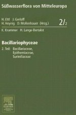Bacillariophyceae. Tl.2