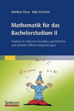 Mathematik Fur Das Bachelorstudium II