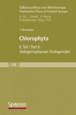 Suwasserflora von Mitteleuropa, Bd. 14: Chlorophyta VI