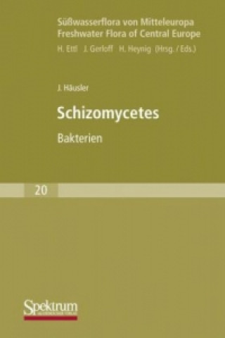 Suwasserflora von Mitteleuropa, Bd. 20: Schizomycetes