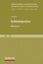 Suwasserflora von Mitteleuropa, Bd. 20: Schizomycetes